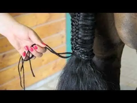 Como hacer diferentes tipos de trenzas a los caballos?