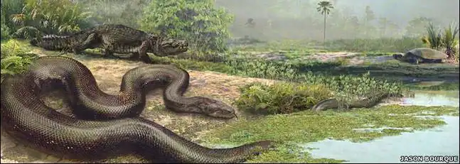 Titanoboa, la serpiente monstruo de hace 60 millones de años