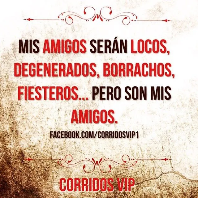 Sin título — corridosvip: Salud por esos amigos!! #follow...