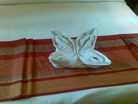 TOALLA CISNE ORIGAMI CON TOALLAS TOWEL ORIGAMI : DECORACION CON ...