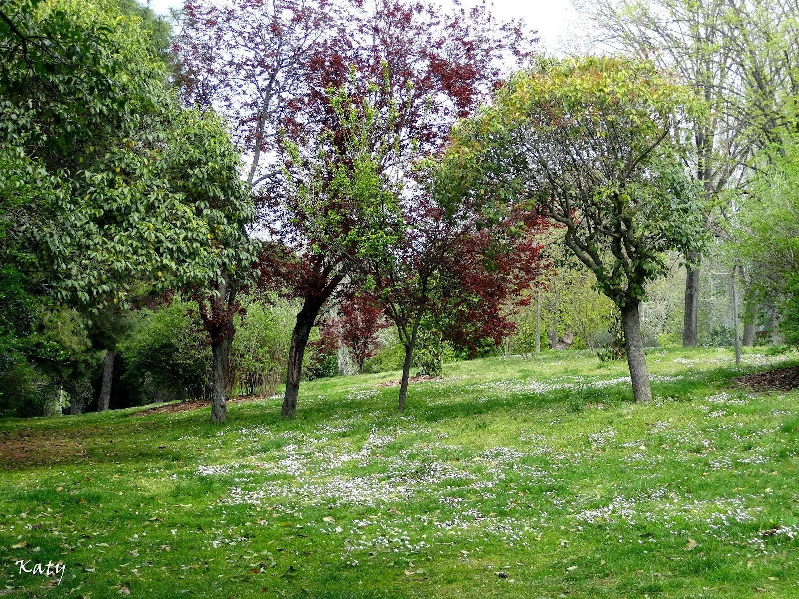 Tocando otros palillos: Parque del Oeste I