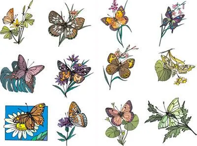 Un poco de todo: 25 Vectores de Mariposas