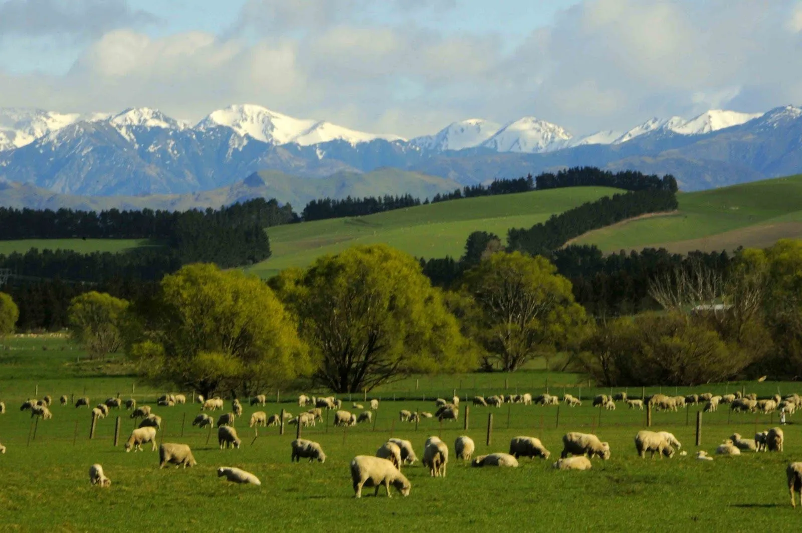 Together on the World!: New Zealand