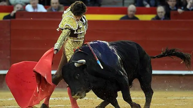 Toledo tendrá una corrida de toros con primeras figuras en el ...