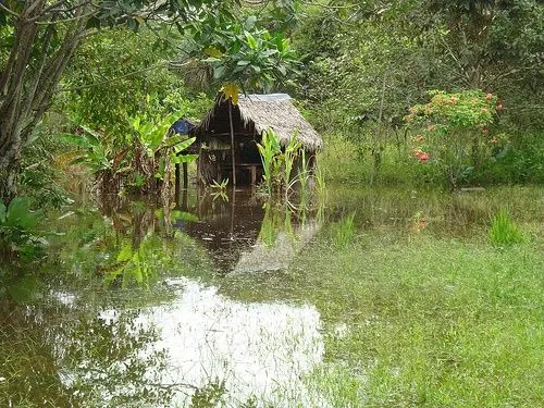 Tomar fotografias en el Amazonas