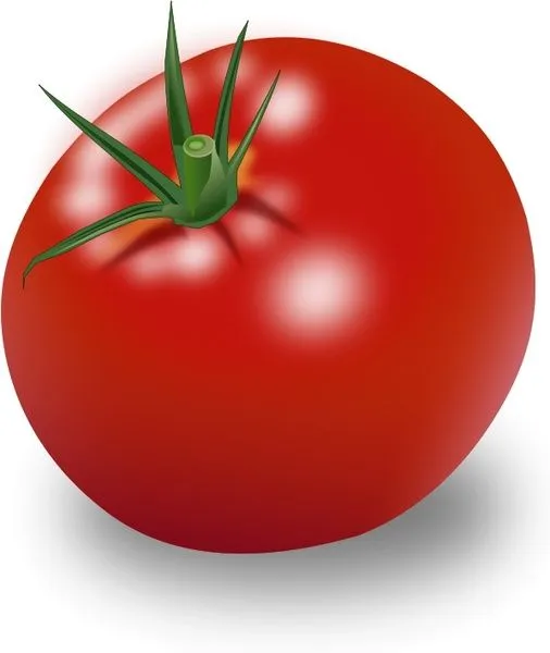 Tomate cortado clipart Vector de imágenes prediseñadas - vectores ...