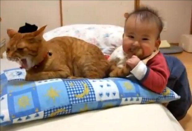 Top 10: Increíbles imágenes del “amor” de los bebés por sus mascotas - Guioteca