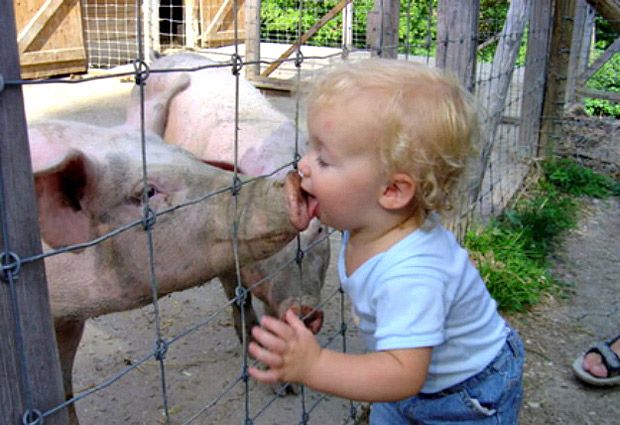 Top 10: Increíbles imágenes del “amor” de los bebés por sus mascotas - Guioteca