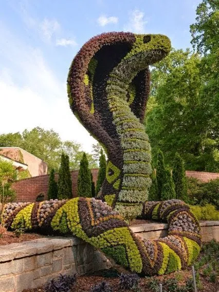 Topiary o topiaria arte de crear esculturas o figuras con plantas ...