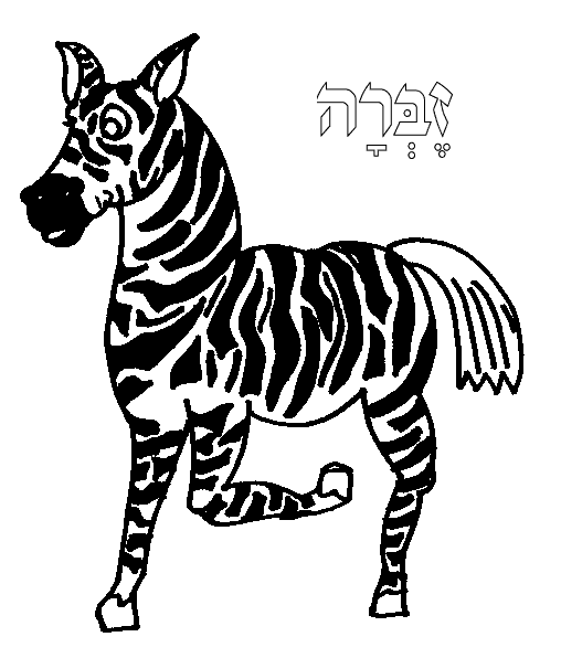 Fotos zebra gifs - Imagui