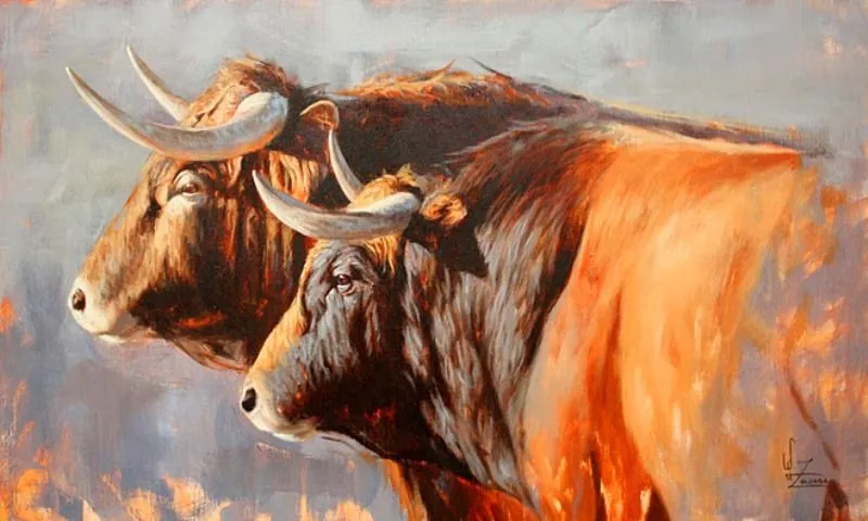 Toro de lidia dibujo - Imagui