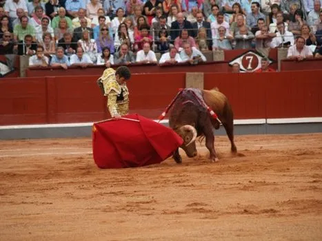 Toro de Lidia - Noticias