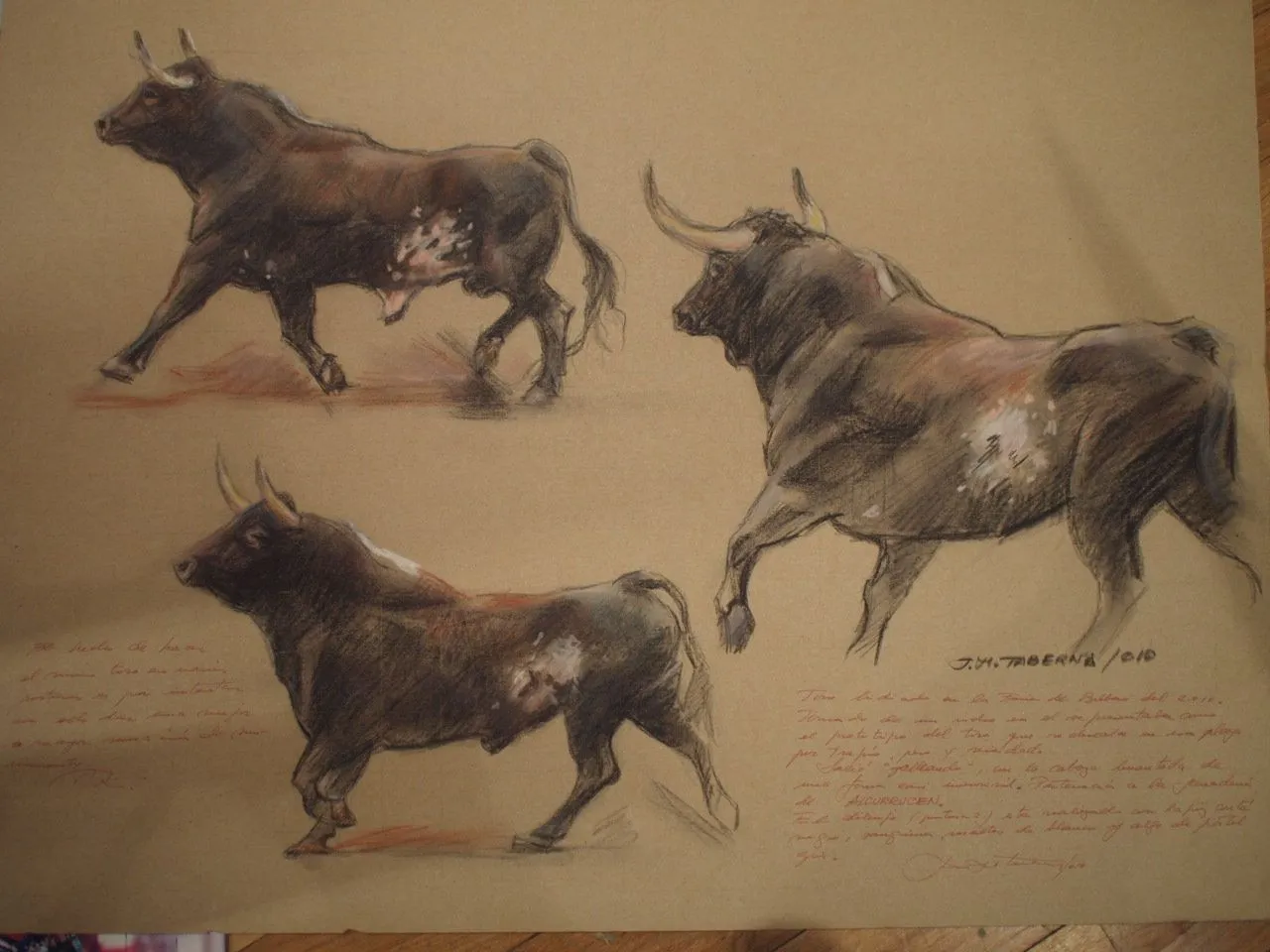 Toros & Toreros ; dibujos y pinturas | Colección de dibujos y ...