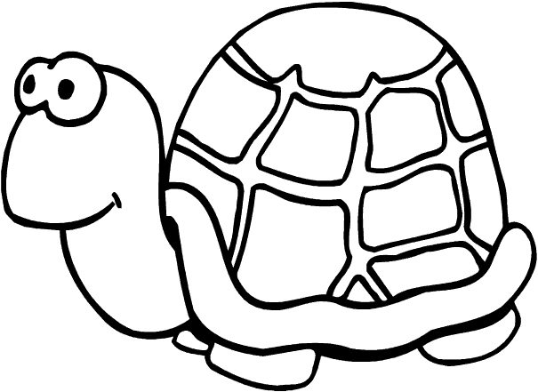 Tortugas para colorear | Dibujos infantiles, imagenes cristianas