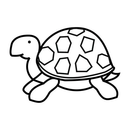 Dibujos animados de una tortuga - Imagui