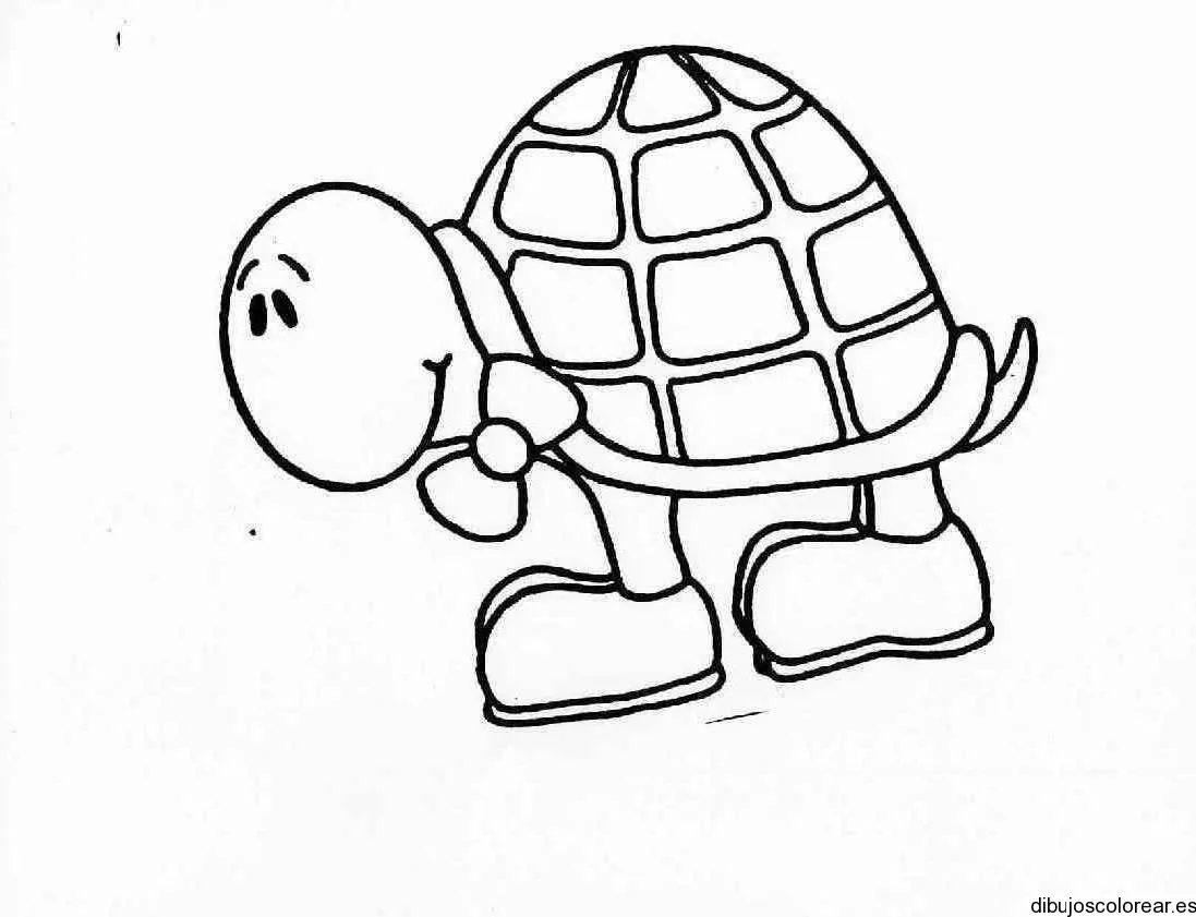 Tortugas | Dibujos para Colorear