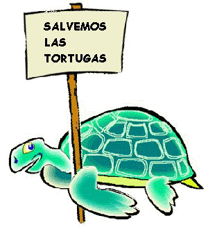 Tortugas marinas animadas - Imagui