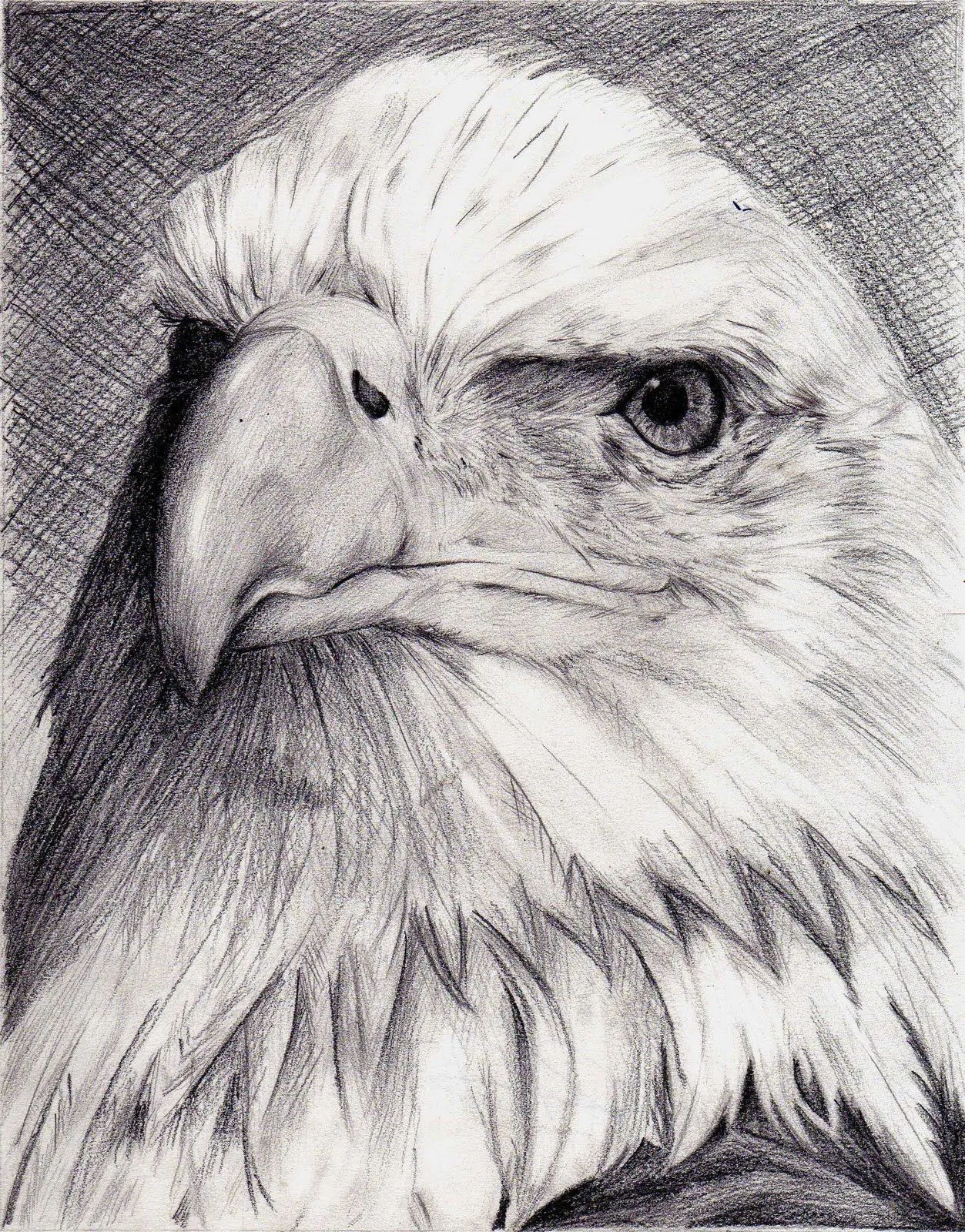 pues otro trabajito de dibujo artistico no se que les dan a lo de ... pues otro trabajito de dibujo artistico no se que les dan a lo de ...