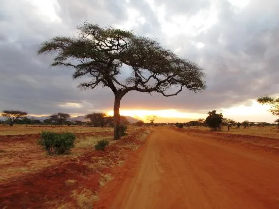 tramonto nella savana - Picture of Garoda Resort, Watamu - TripAdvisor