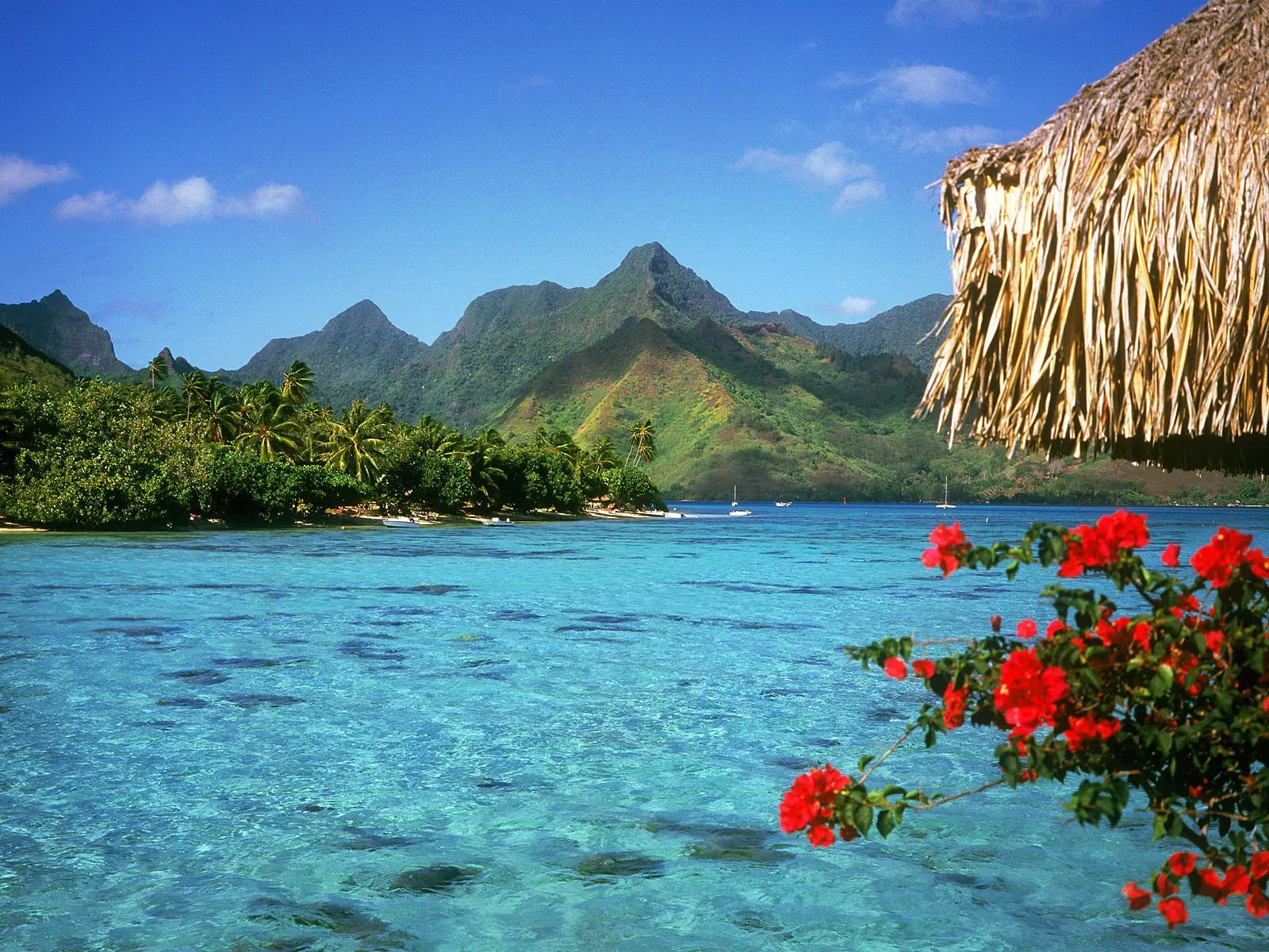 Tranquilo Lago en Bora_Bora-Islas de Polinesia francesa