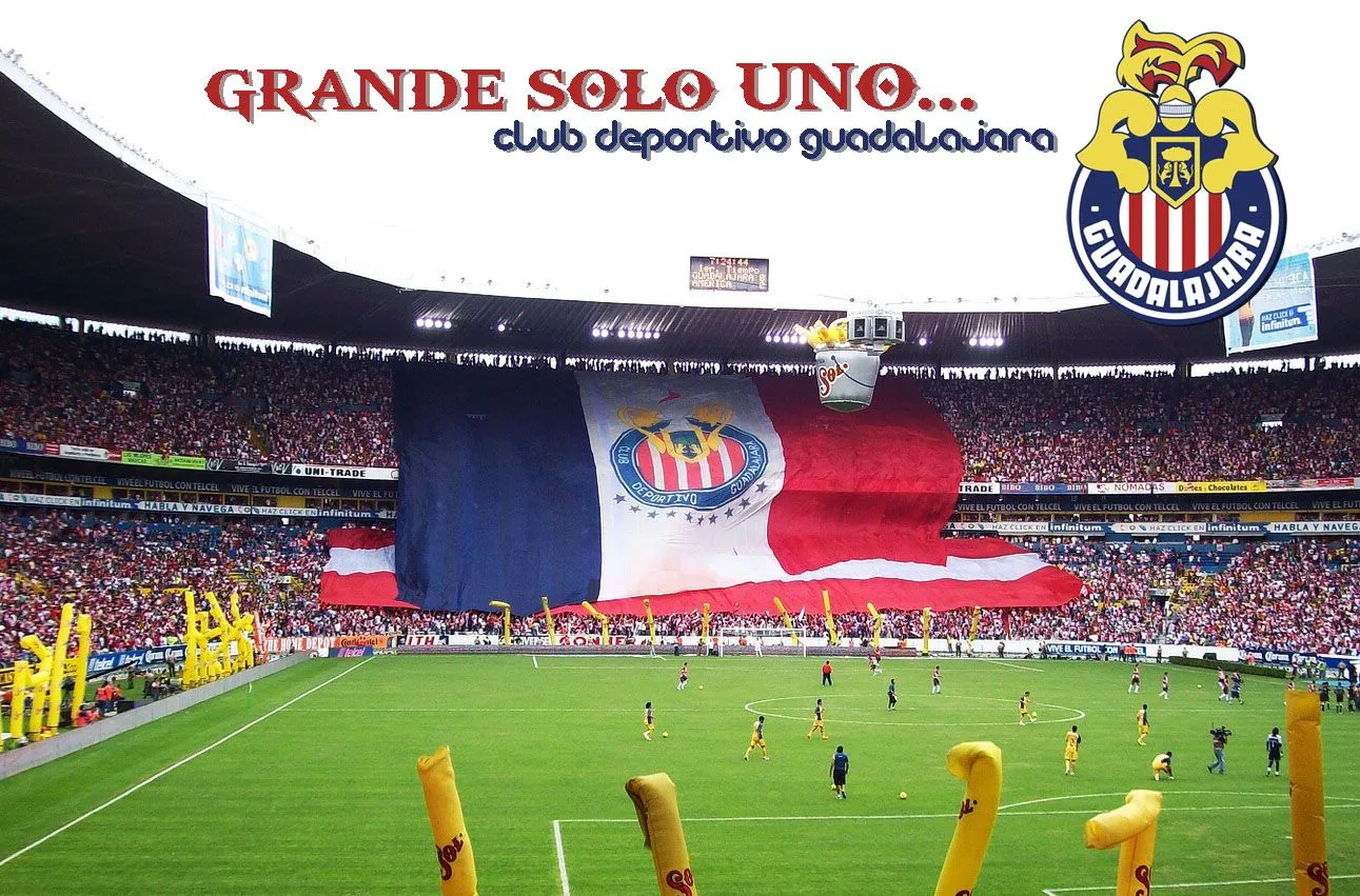 Trapo Gigante de Chivas | CD Guadalajara