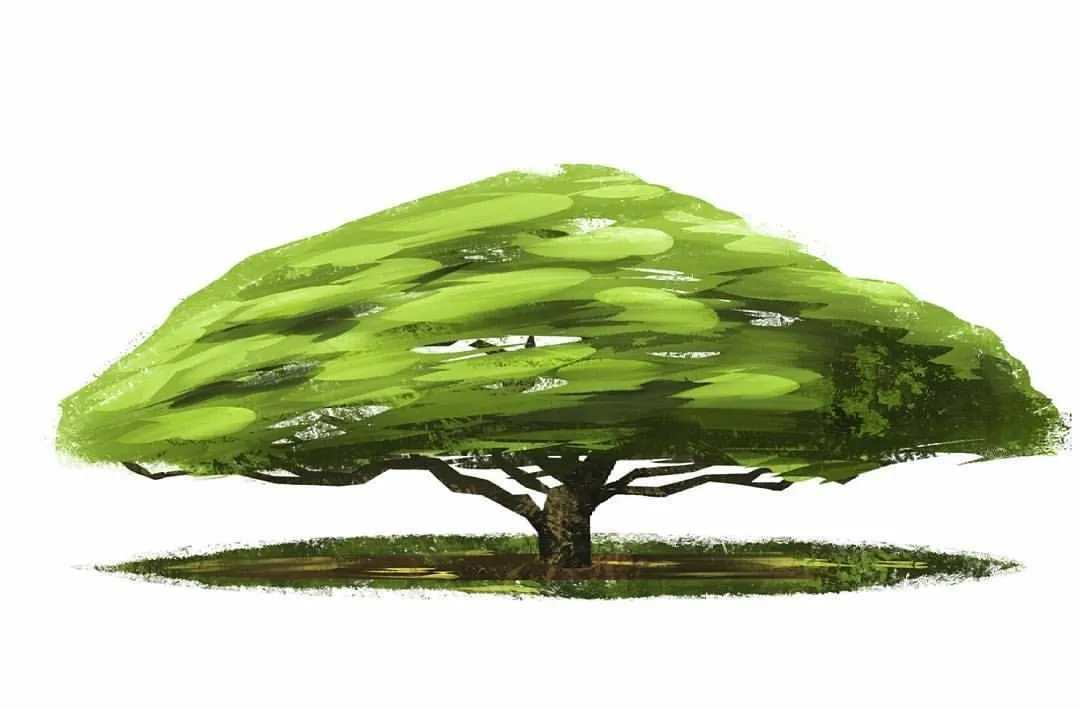 Tree practice #saman #conceptart #illustration #videogame #Venezuela #arbol  | Concept art, Illustration, Tree