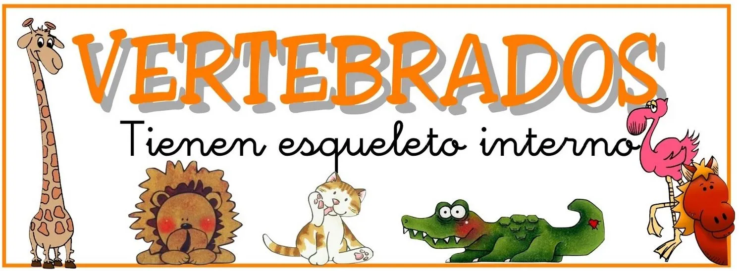 Trencitas Aprende Contigo: EL REINO ANIMAL : vertebrados e ...
