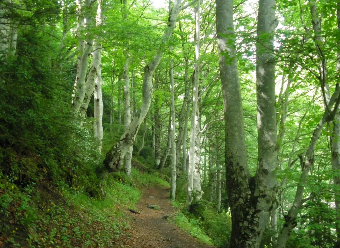 Trepallina - MasLlinaQueTrepa: Por el Valle de Tena en solitario ...