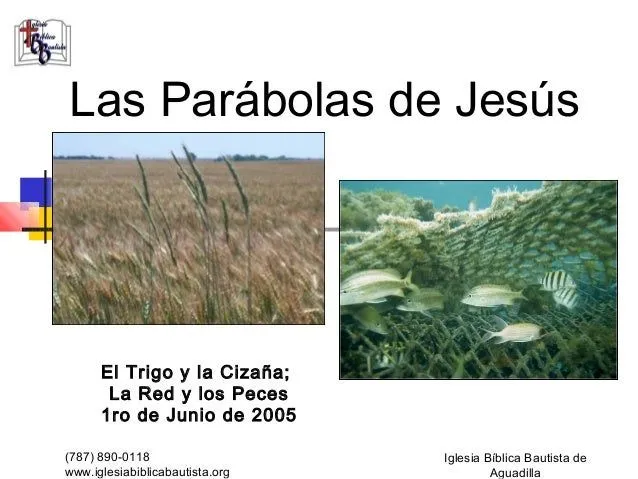 El Trigo y la Cizaña, La Red y los Peces