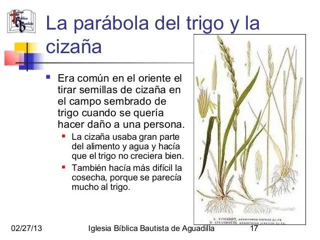 El Trigo y la Cizaña, La Red y los Peces