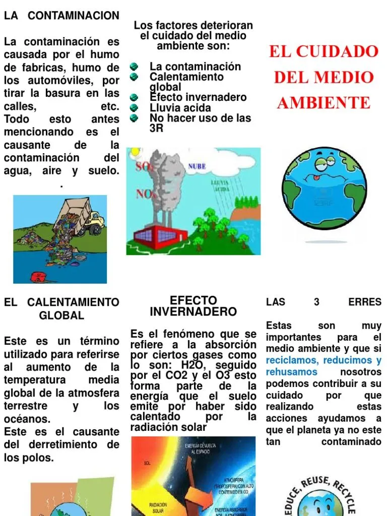 Triptico de La Contaminacion | PDF