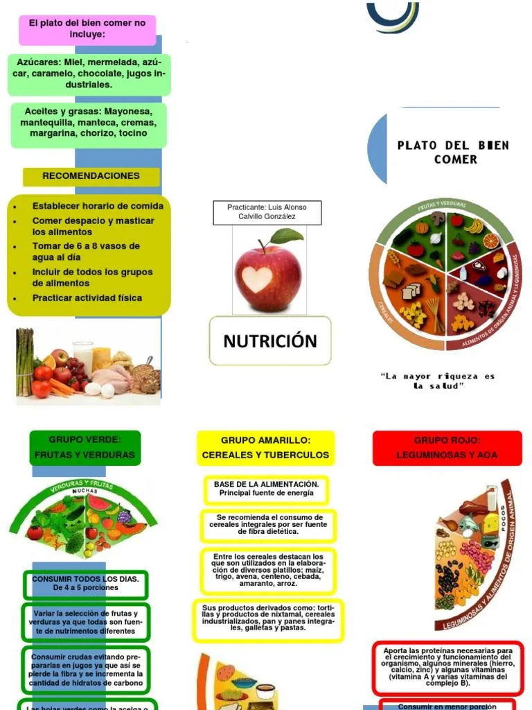 Triptico Plato Del Buen Comer | PDF | Cereales | Alimentos