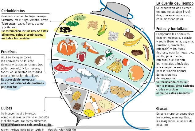 Tipos Tos Trompo Alimenticio Creado Por El Insuto Nacional De ...