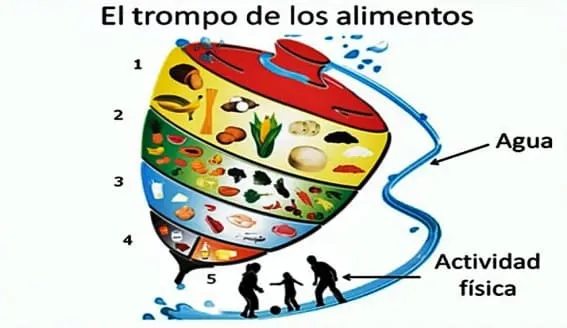 ▷ Trompo Alimenticio: DIBUJOS para COLOREAR - para Niños