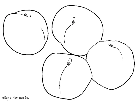 Trompo de los alimentos dibujos para colorear - Imagui