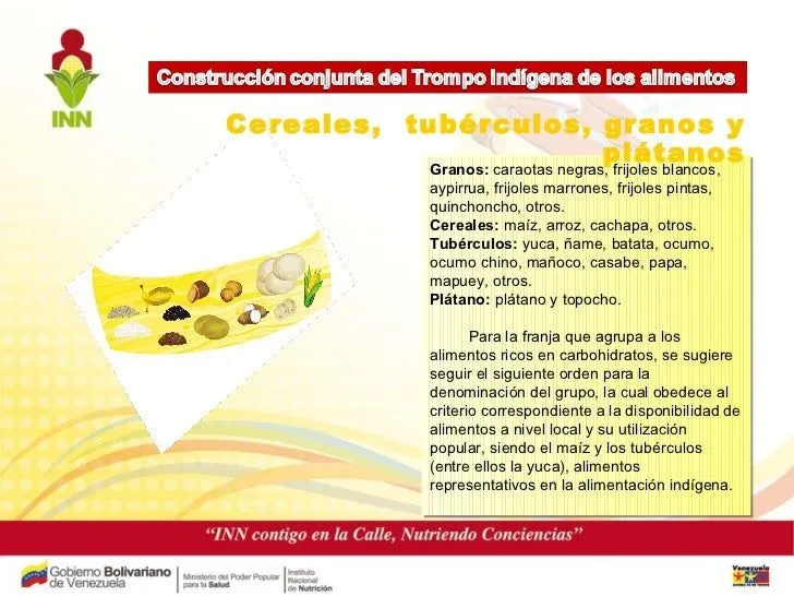 Trompo De Alimentos Dcd Final