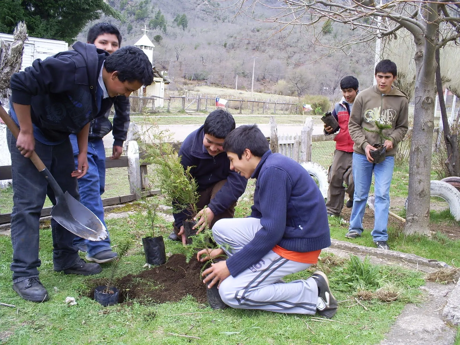 TROYANOS2011: CUIDANDO LA NATURALEZA