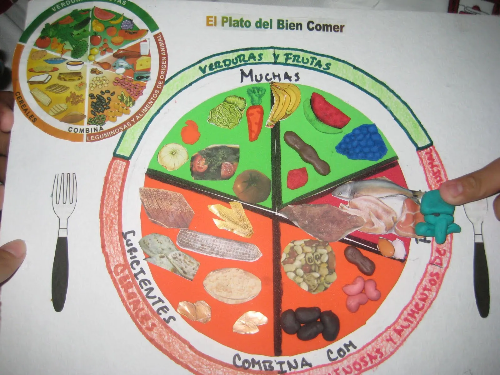 LO QUE TÚ NECESITAS: El Plato del buen comer