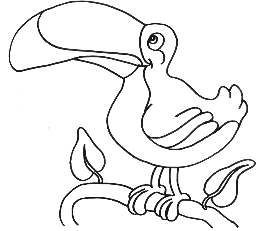 TUCAN DIBUJO PARA COLOREAR