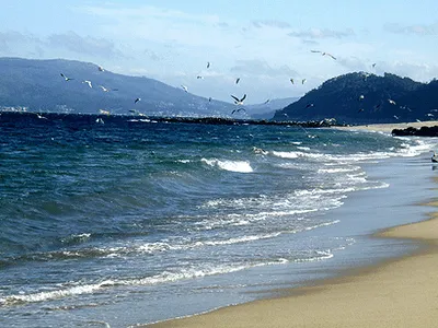 Detrás del tul blanco: El mar, el mar y tú, plural espejo