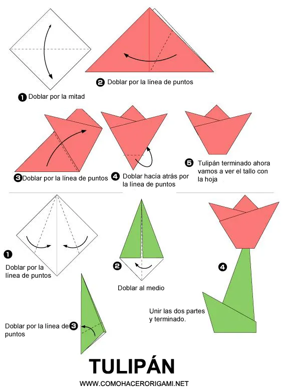 Tulipán de papel - ComoHacerOrigami.net