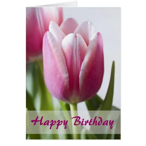 Tulipán rosado hermoso, feliz cumpleaños tarjetas | Zazzle