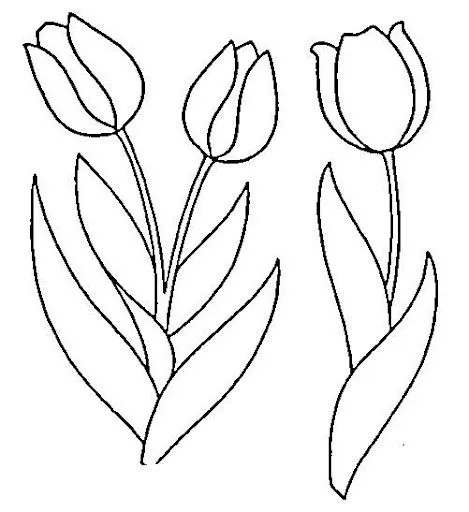 TULIPANES PARA COLOREAR