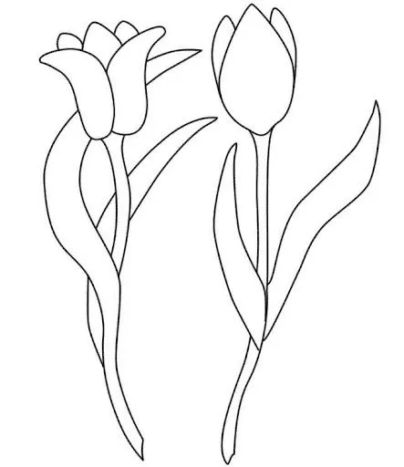 TULIPANES PARA COLOREAR