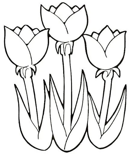 Tulipanes para colorear e imprimir - Imagui