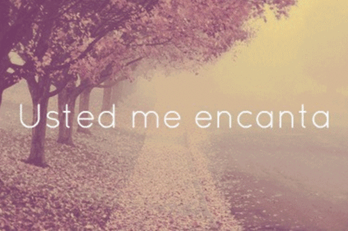 Imagenes tiernas de amor tumblr - Imagui