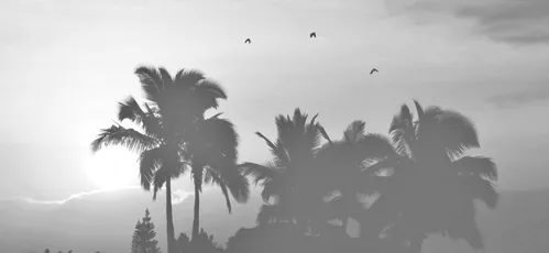 being alive icons., {Random Headers} •creditos a @special_gleek y ...