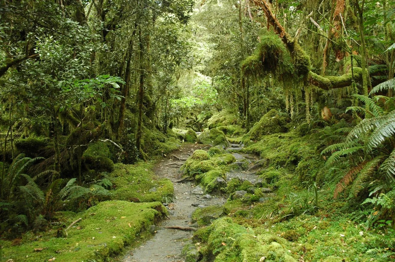 Tuplanbe: Destinos de ensueño... Nueva Zelanda | Blog de bodas ...