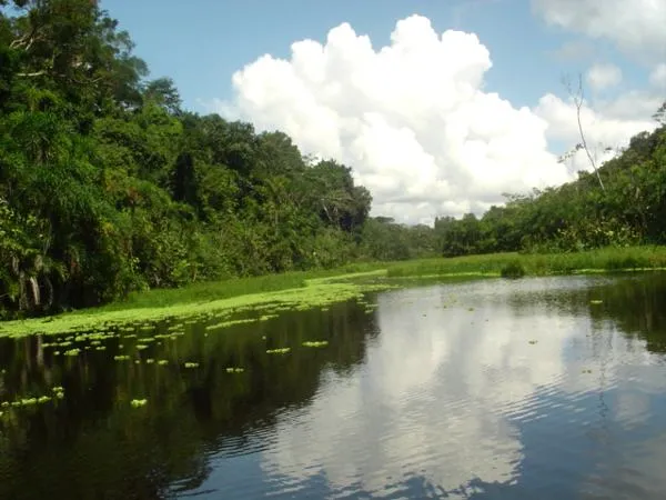 Turismo Peru: Vias de acceso para llegar a la Selva Peruana