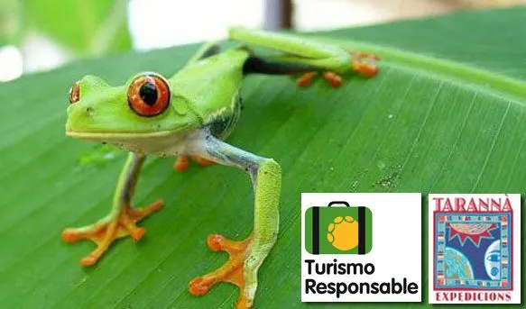 Turismo responsable con los animales a COSTA RICA | ECOTUMISMO